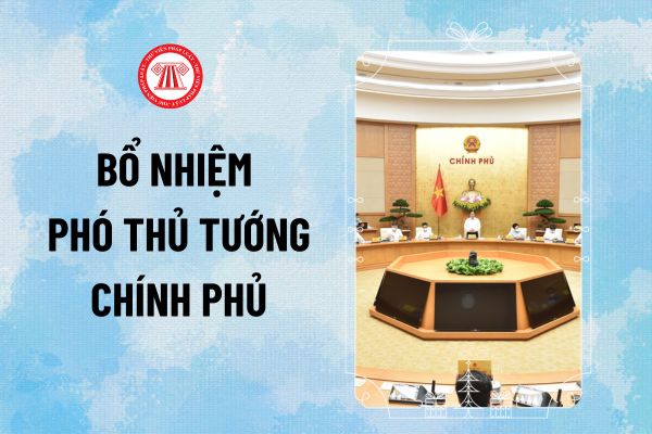 5 Phó Thủ tướng hiện nay là ai? Danh sách các Phó Thủ tướng Chính phủ mới nhất 2024 hiện nay gồm những ai?