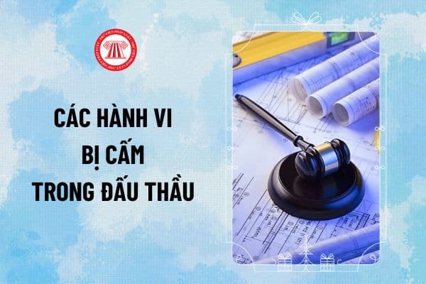 Các hành vi bị cấm trong đấu thầu 2025? Xử lý vi phạm trong đấu thầu thế nào? Vi phạm điều cấm trong đấu thầu bị cấm đấu thầu bao lâu?