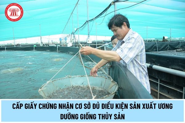 Cơ quan nào có thẩm quyền cấp, cấp lại, thu hồi Giấy chứng nhận cơ sở đủ điều kiện sản xuất, ương dưỡng giống thủy sản?