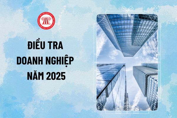 Thời gian điều tra doanh nghiệp năm 2025 trên 63 tỉnh, thành? Các tập đoàn, doanh nghiệp, hợp tác xã được điều tra nội dung gì?