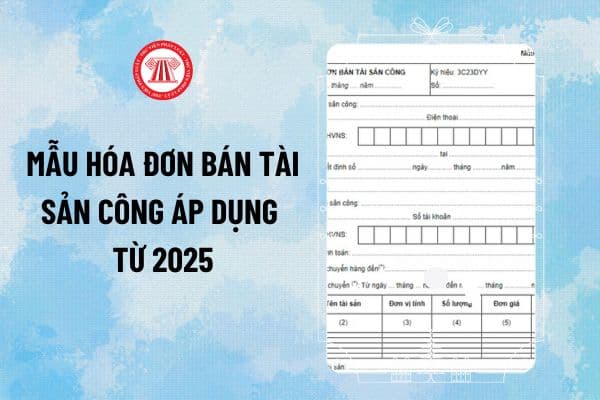 Mẫu Hóa đơn bán tài sản công theo Nghị định 114 áp dụng từ 2025 (Mẫu 08/TSC-HĐ) như thế nào?