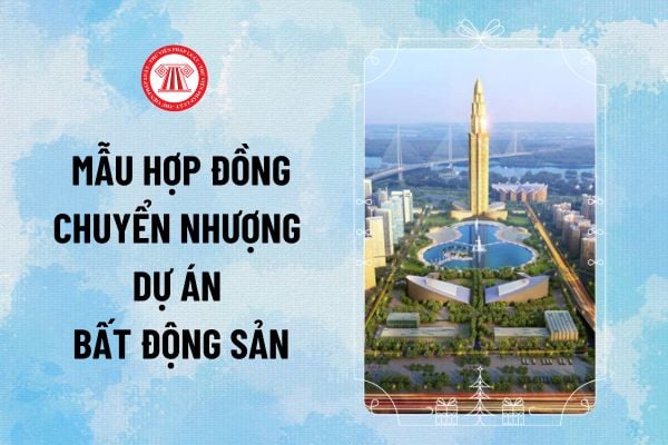 02 Mẫu hợp đồng chuyển nhượng Dự án Bất động sản mới nhất theo Nghị định 96/2024/NĐ-CP ra sao?