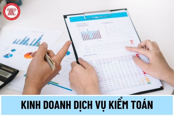 Hồ sơ đề nghị cấp Giấy chứng nhận đủ điều kiện kinh doanh dịch vụ kiểm toán năm 2024 đối với công ty TNHH gồm những gì?