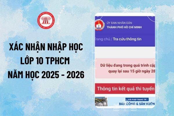Pháp luật
