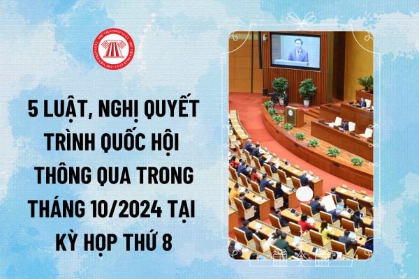 5 dự án Luật, Nghị quyết trình Quốc hội thông qua trong tháng 10/2024 tại kỳ họp thứ 8 theo trình tự, thủ tục rút gọn?