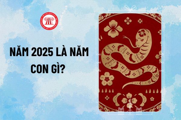 Tết 2025 con gì? Năm 2025 là năm con gì, mệnh gì? Năm sau là con giáp gì 2025? Con sinh năm 2025 mệnh gì?