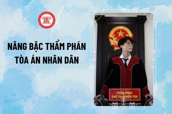 Quy định nâng bậc Thẩm phán Tòa án nhân dân mới từ 2025? Nâng bậc Thẩm phán Tòa án lên bậc 2, bậc 3 thế nào?