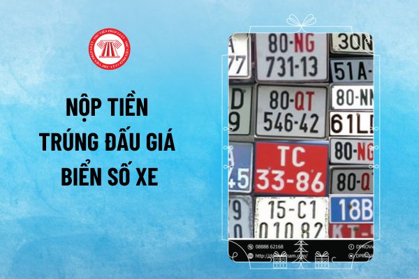 Thời hạn nộp tiền trúng đấu giá biển số xe từ 2025? Không nộp tiền trúng đấu giá biển số xe quá 30 ngày có được hoàn tiền đặt trước không?