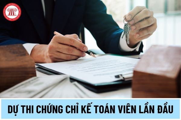 Người dự thi để lấy chứng chỉ kiểm toán viên lần đầu năm 2024 phải nộp hồ sơ gồm có những thành phần gì?