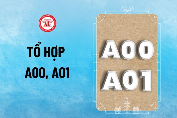 A00 A01 gồm những môn nào? Khối A00 gồm những ngành nào? Tổ hợp A00 và A01 gồm những môn nào?