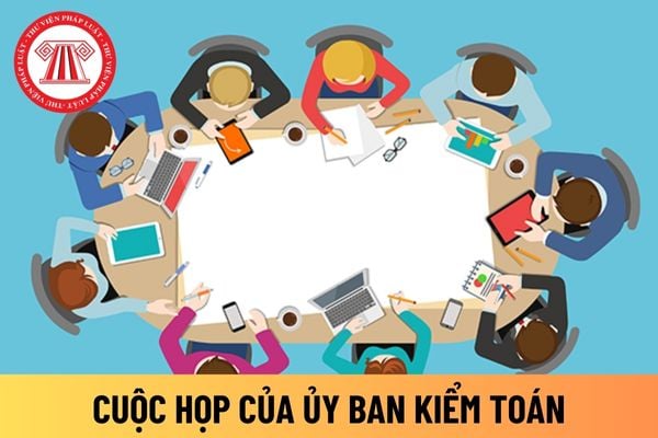 ủy ban kiểm toán