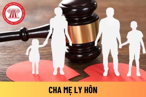 cha mẹ ly hôn