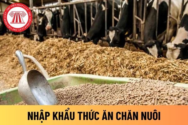 thức ăn chăn nuôi