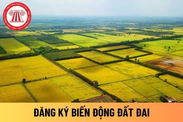 đăng ký biến động