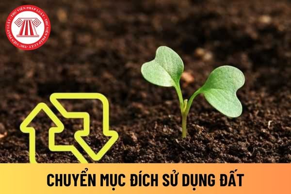 mục đích sử dụng đất