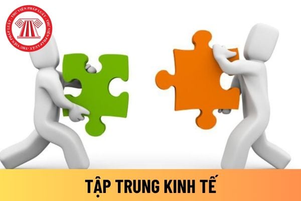 tập trung kinh tế