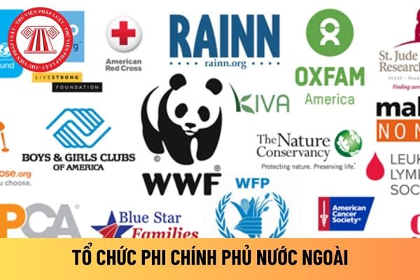 Tổ chức phi chính phủ