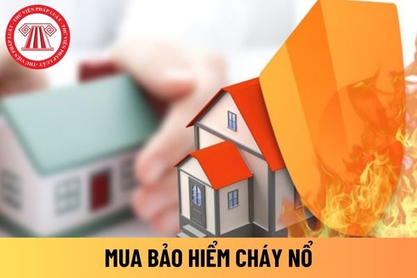 tài sản cố định