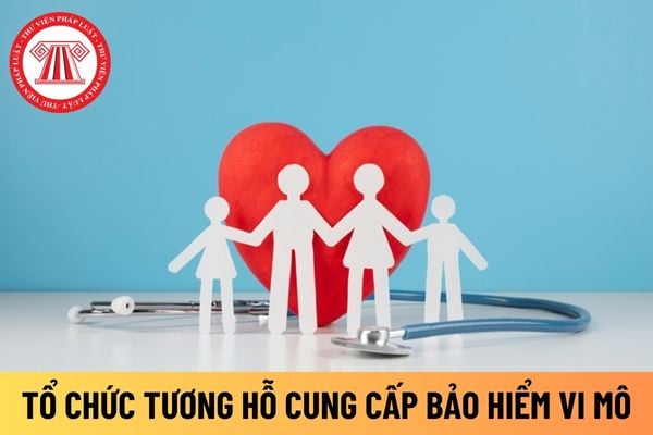 bảo hiểm vi mô