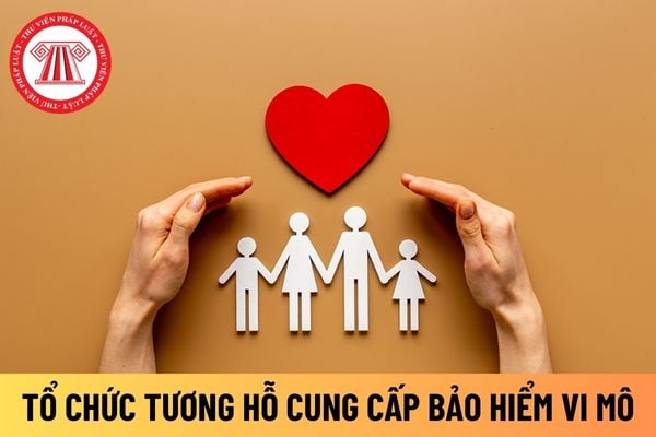 bảo hiểm vi mô