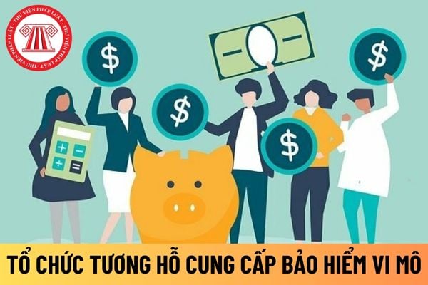 bảo hiểm vi mô