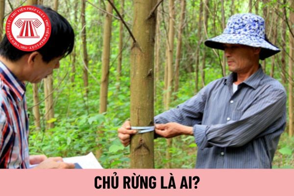 chủ rừng