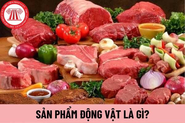 sản phẩm động vật