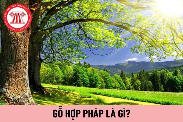 gỗ hợp pháp