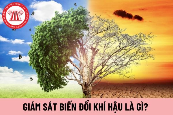 biến đổi khí hậu