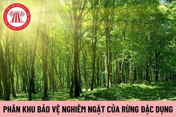 rừng đặc dụng