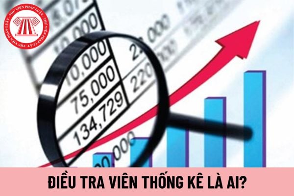 điều tra viên thống kê