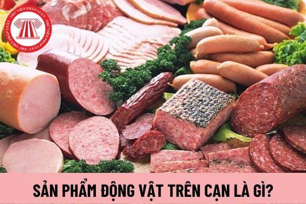 sản phẩm động vật trên cạn