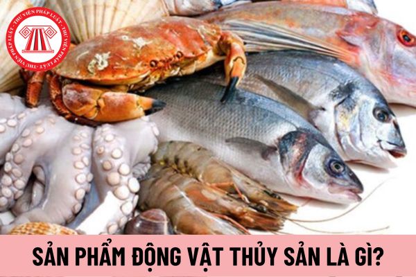 sản phẩm động vật thủy sản