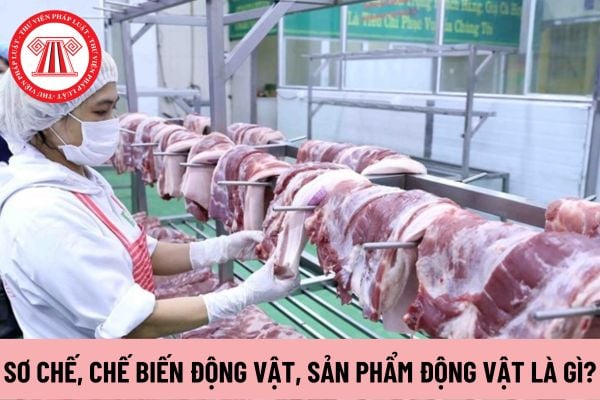 sơ chế, chế biến động vật