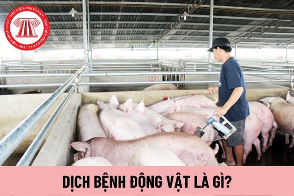 dịch bệnh động vật