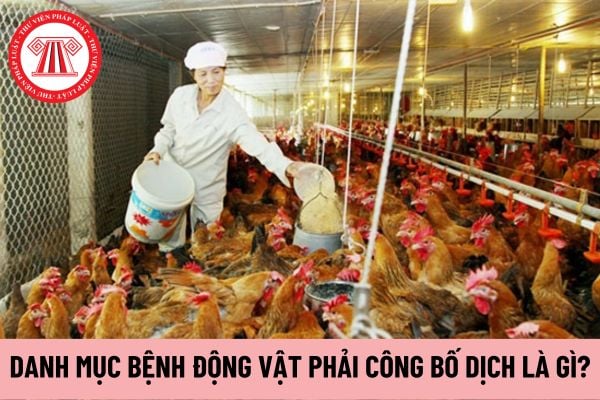 công bố dịch