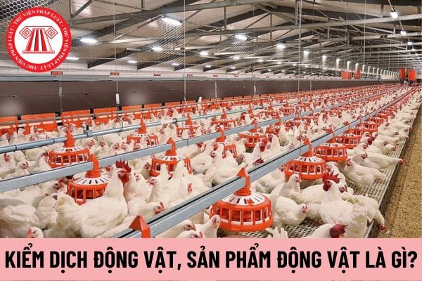 kiểm dịch động vật