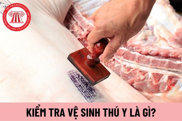 kiểm tra vệ sinh thú y