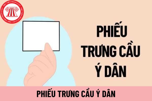 phiếu trưng cầu ý dân