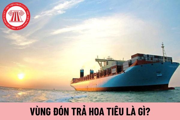 vùng đón trả hoa tiêu