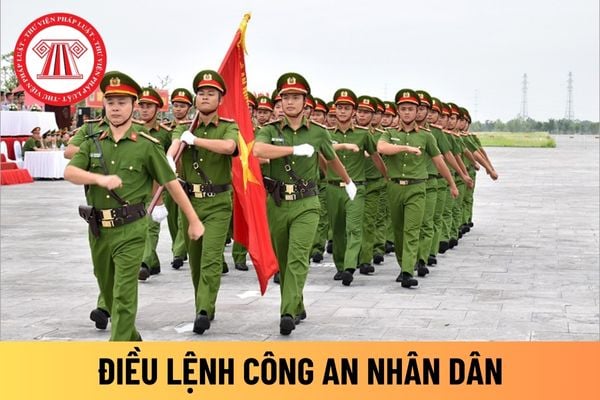 điều lệnh