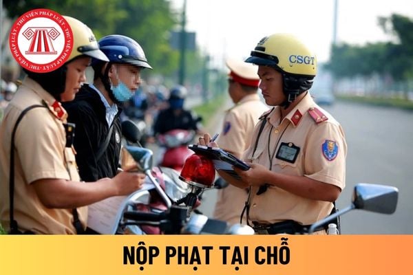 nộp phạt tại chỗ