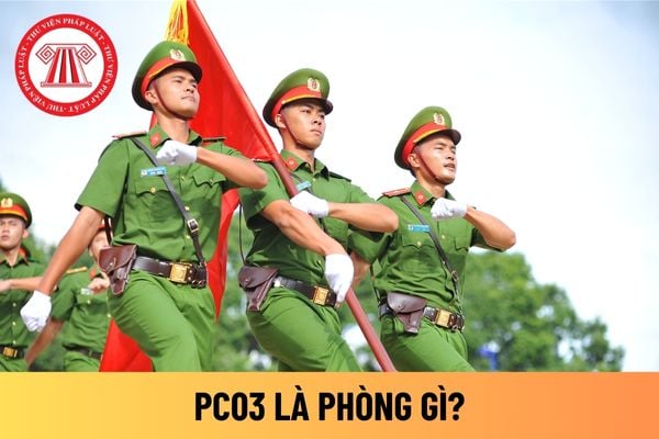 PC03 là Phòng Gì? Khám Phá Vai Trò và Nhiệm Vụ Quan Trọng của Phòng Cảnh Sát Kinh Tế