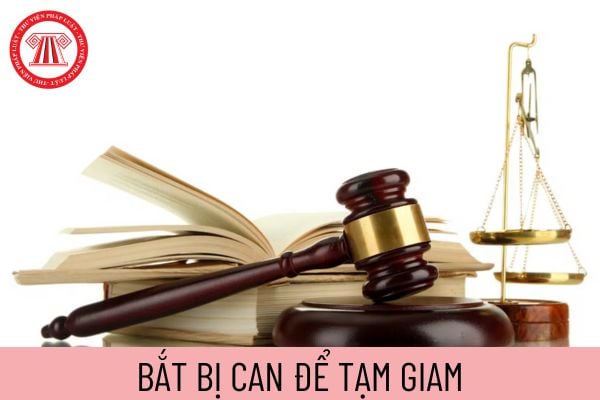 bắt bị can để tạm giam