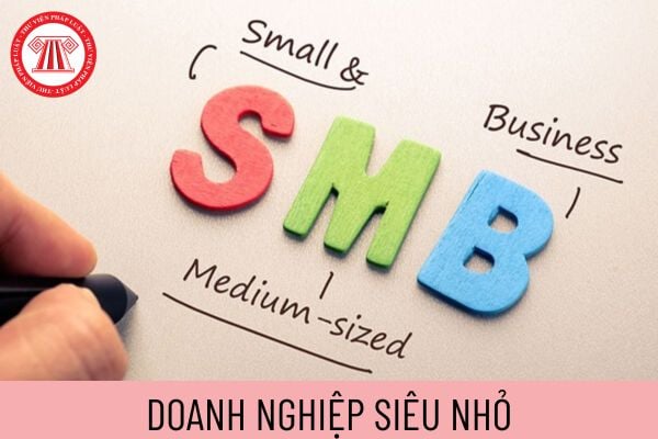 doanh nghiệp siêu nhỏ