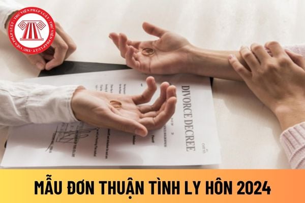 thuận tình ly hôn