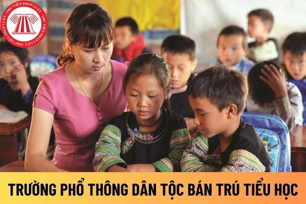 trường tiểu học