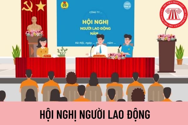 Hội nghị