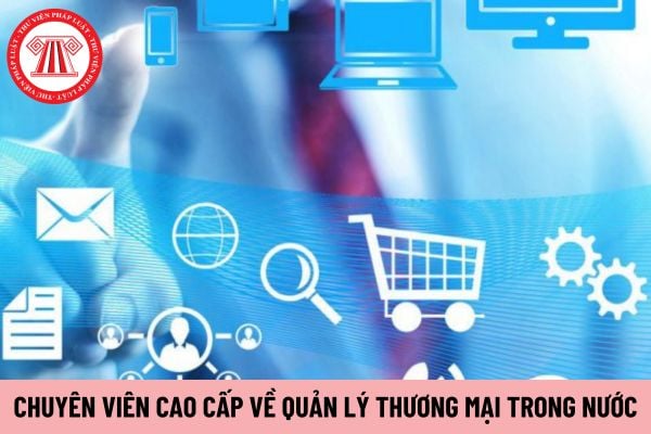 chuyên viên cao cấp