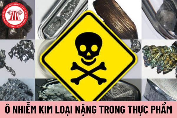 ô nhiễm kim loại nặng